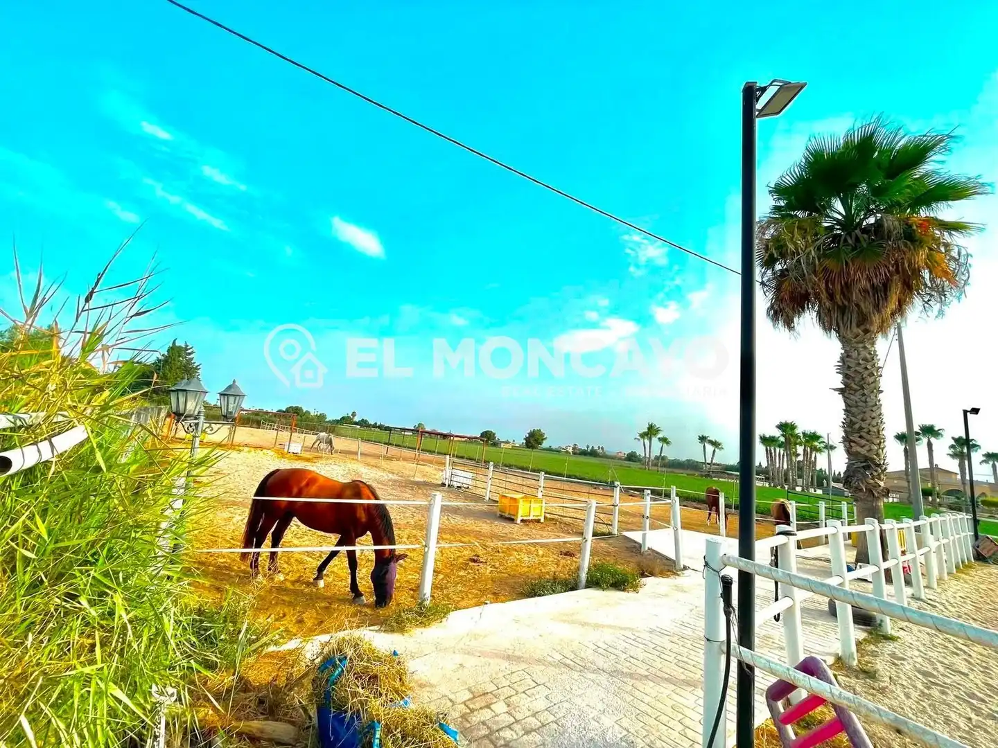 Casa con piscina en venta en Dolores, imagen 13