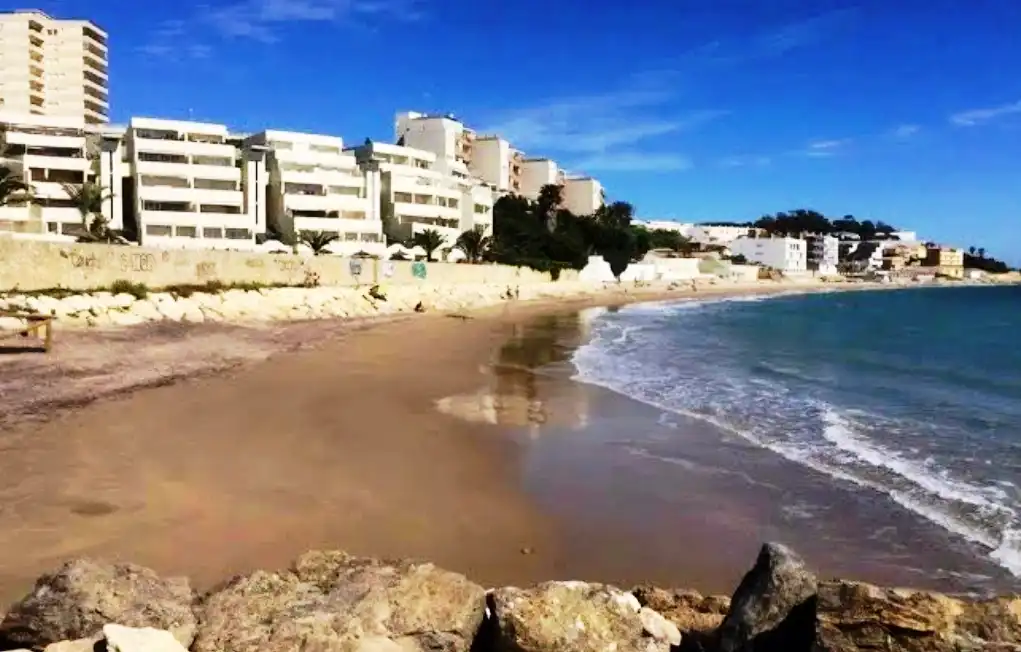 Vista exterior de Casa o xalet en venda en El Puerto de Santa María amb Jardí privat, Terrassa i Traster