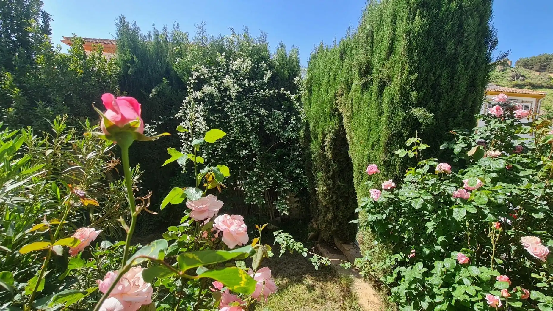 Jardí de Casa o xalet en venda en La Peza amb Calefacció, Jardí privat i Terrassa