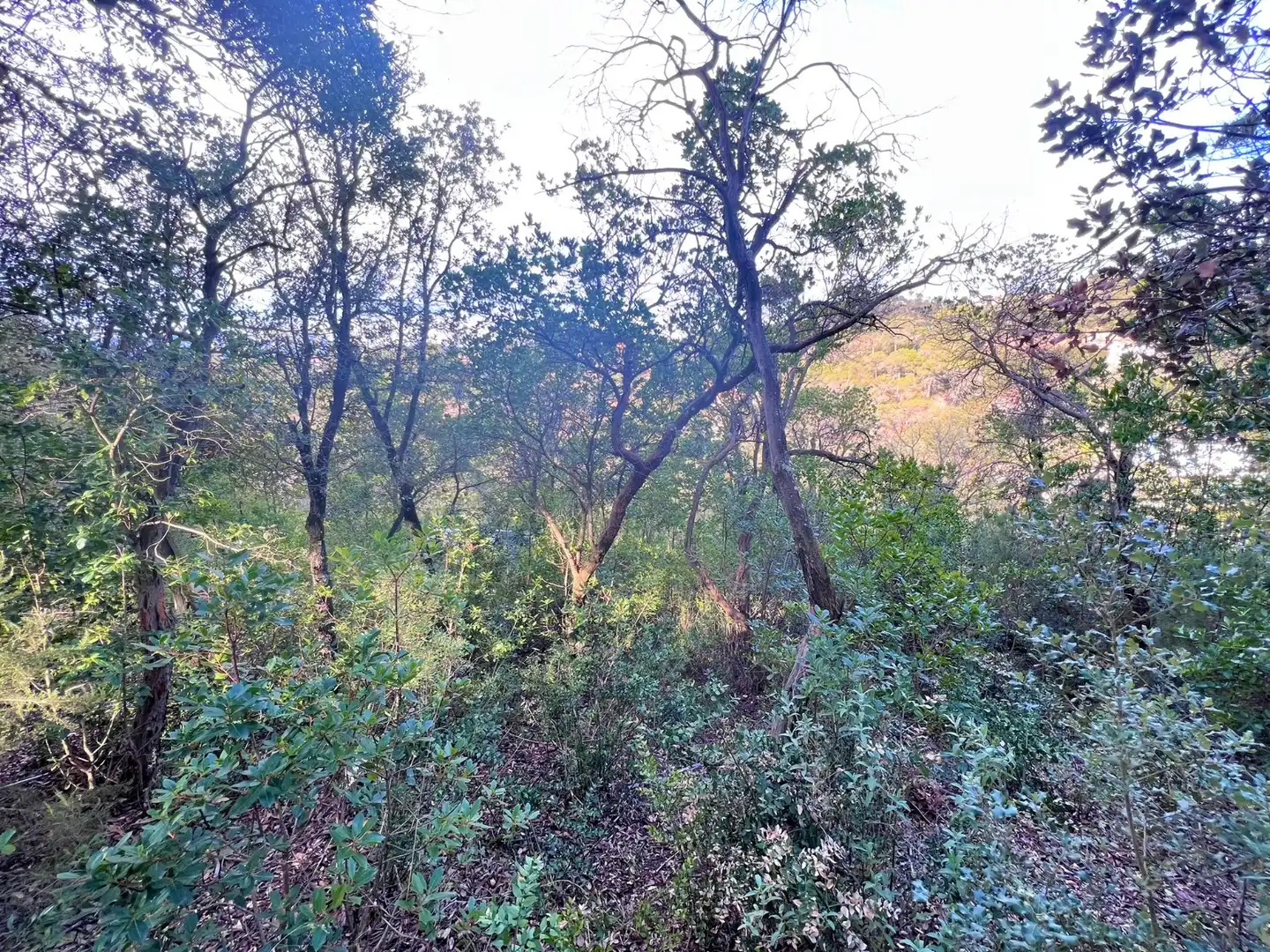 Terreno residencial en venta en Carrer Torrent del Llort 35, imagen 2