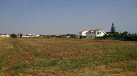 Foto 2 de Finca rústica en venta en Roche, Conil de la Frontera
