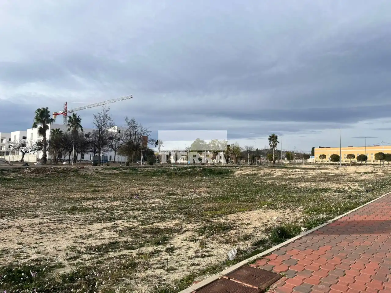 Residential land for sale in Avenida Francisco Puerta González-Conde, imagen 8