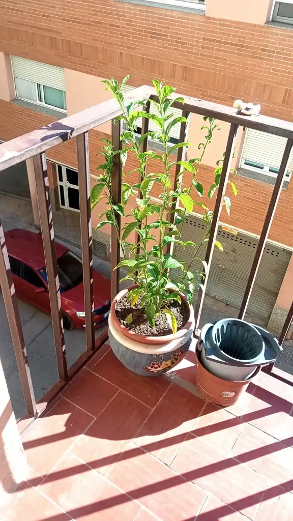 Pis amb terrassa en venda a Vilanova del Camí, imagen 4