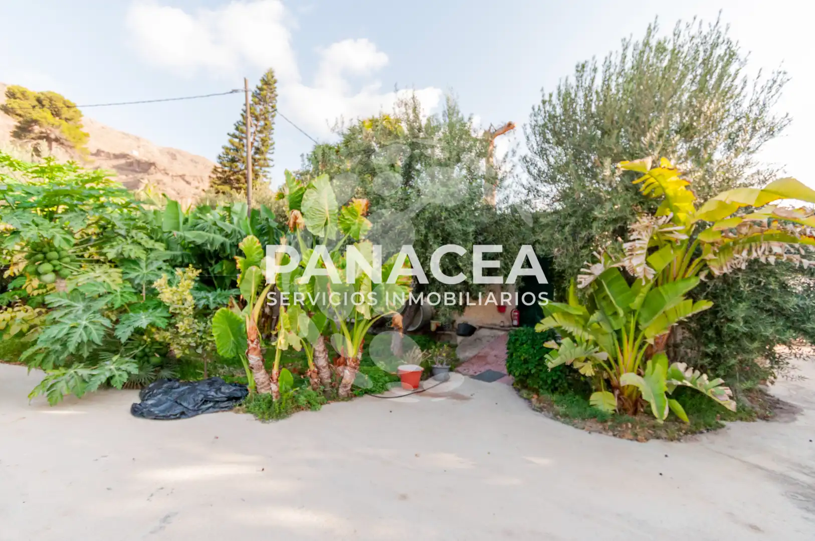 Finca rústica en venta en Vícar Pueblo