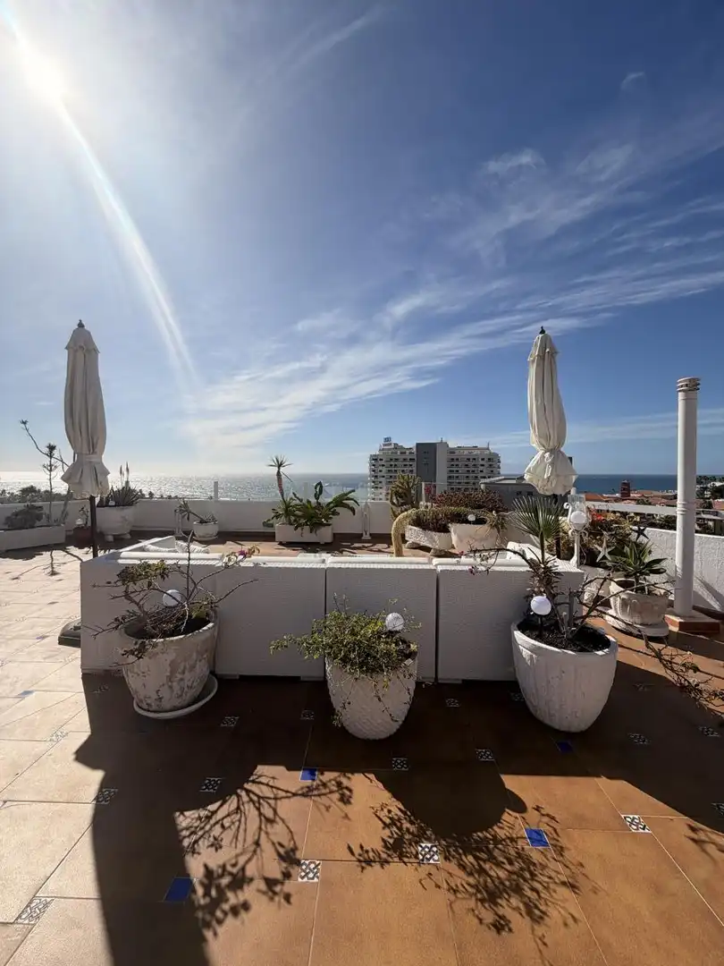 Terrace of Flat for sale in Adeje  with Air Conditioner, Terrace and Furnished