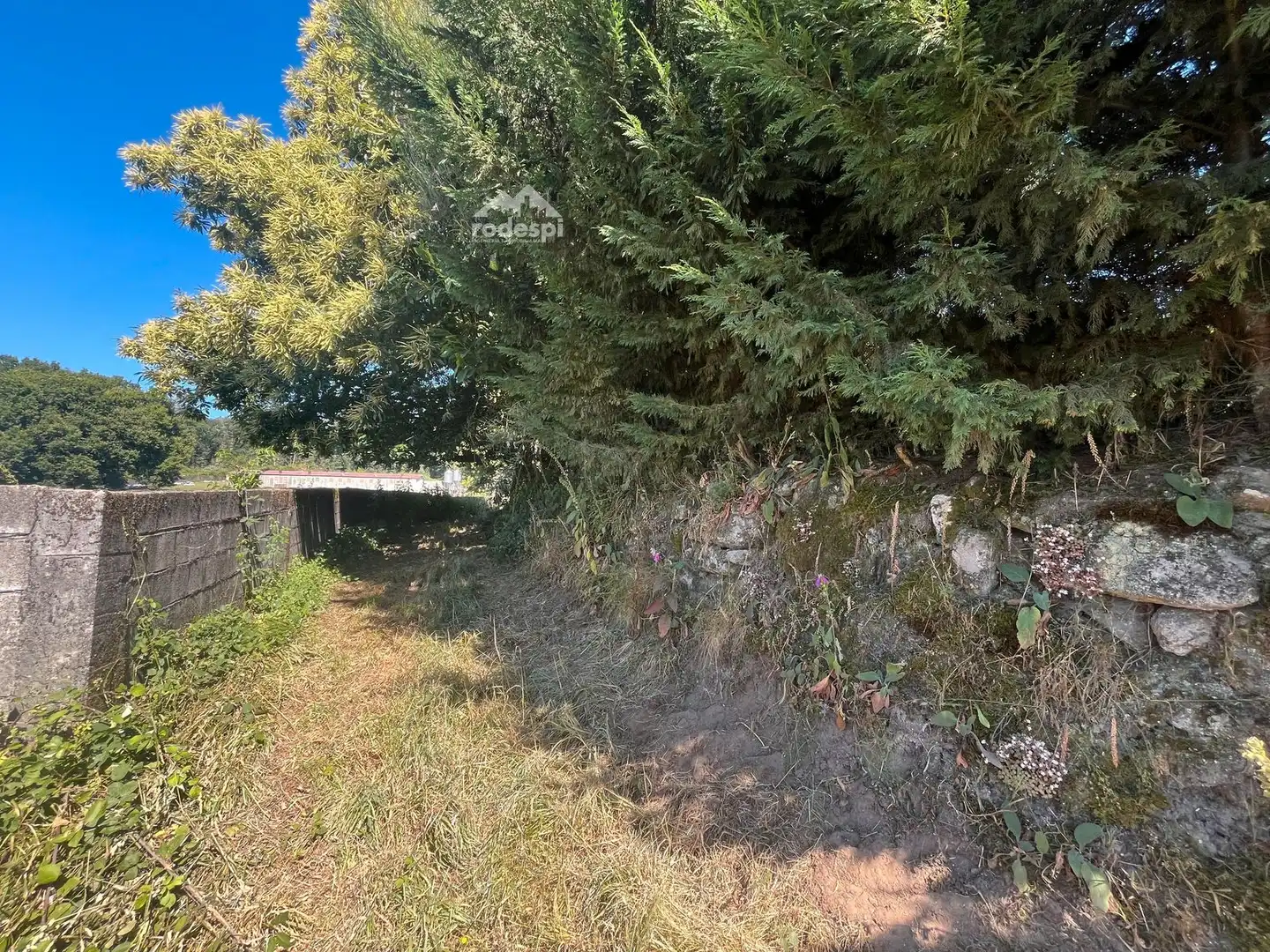 Casa o chalet en venta en Piñor con Trastero y Amueblado