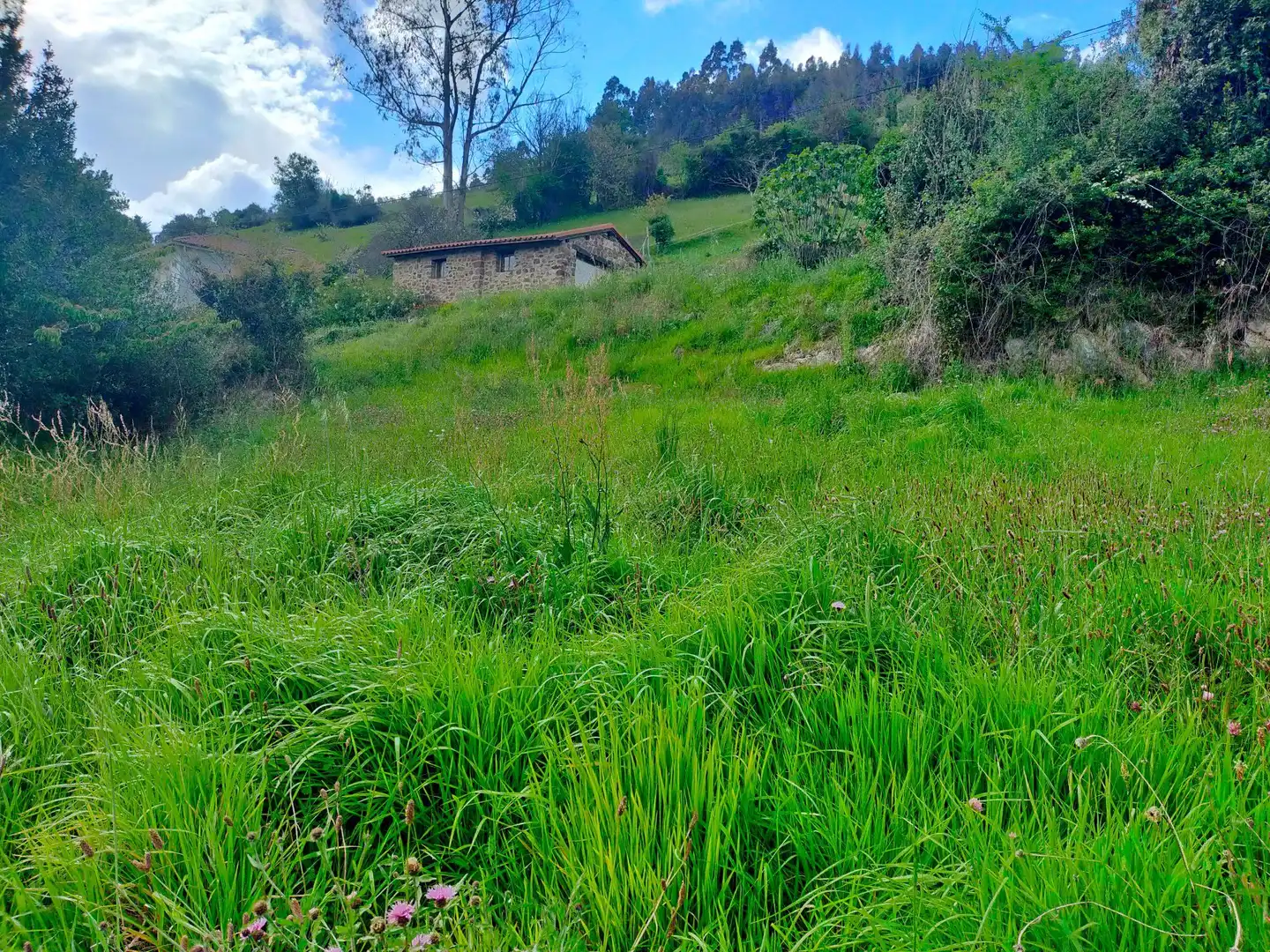 Terrenys i solars en venda a Candamo, imagen 6