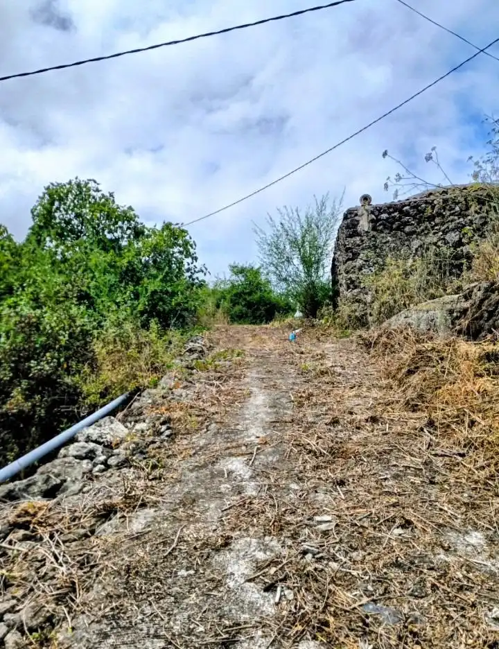Rural land for sale in La Vega - El Amparo - Cueva del Viento, imagen 3
