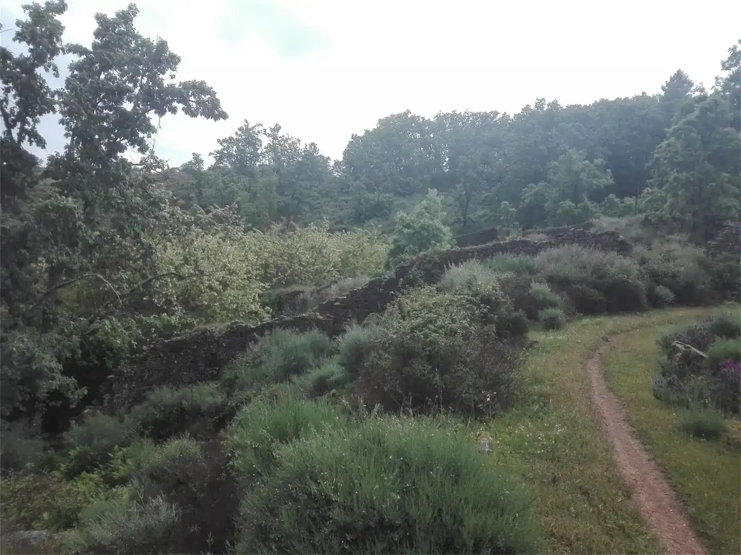 Terreno en venta en Hoyos