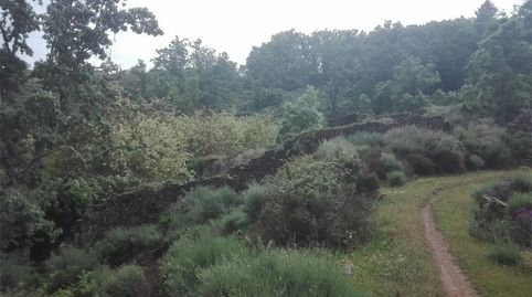 Foto 2 de Terreno en venta en Avenida de Extremadura, Hoyos, Cáceres