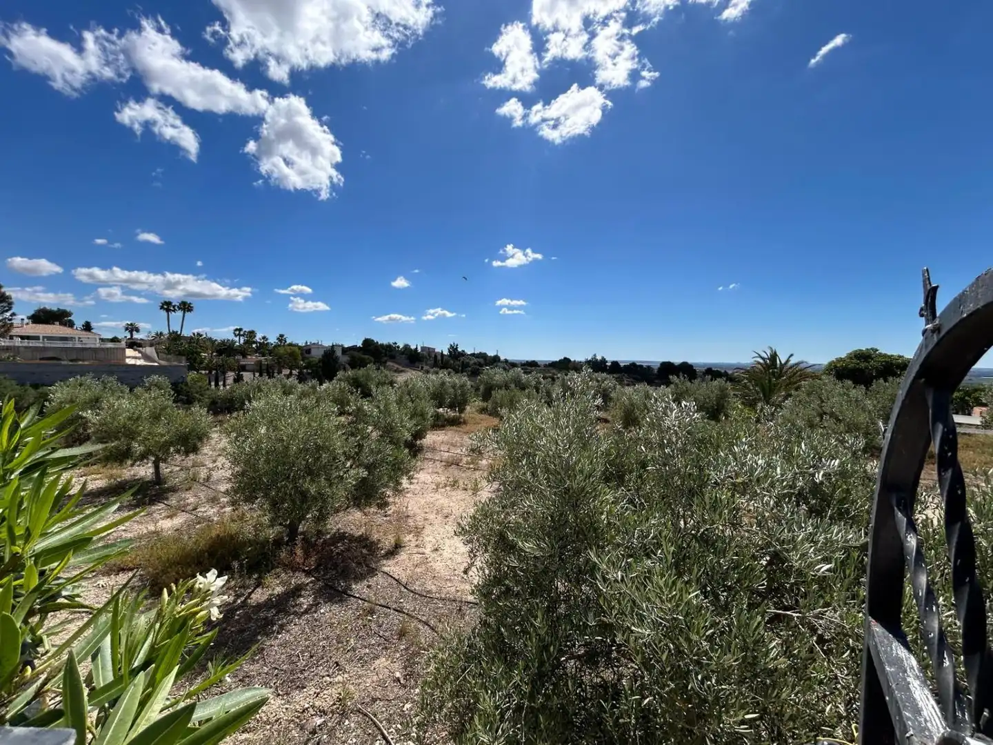 Villa avec piscine à vendre à Albatera, imagen 15