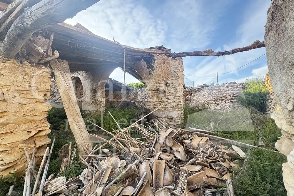 Vista exterior de Casa o chalet en venta en Benicolet con Jardín privado