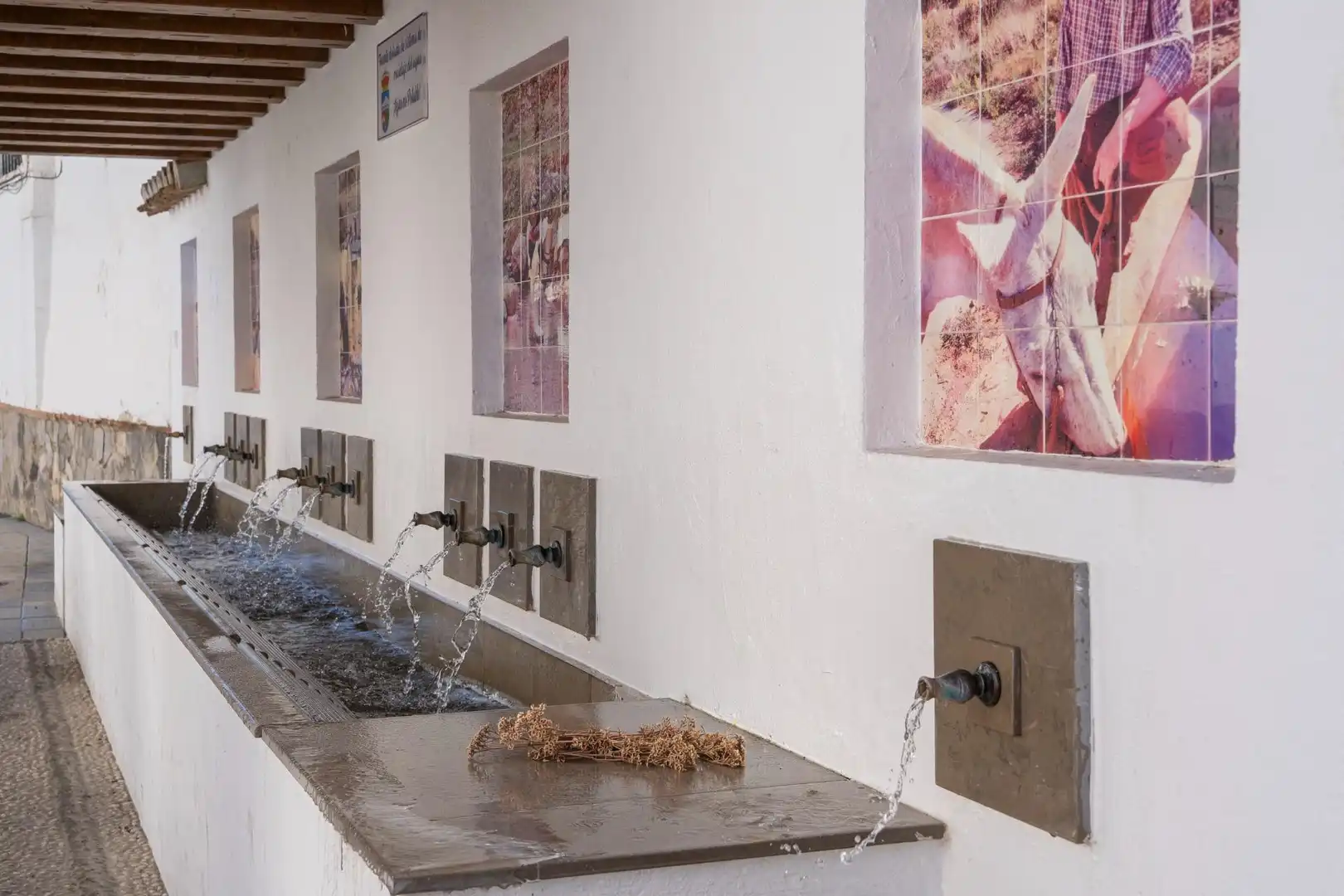 Casa o xalet en venda en Dílar amb Jardí privat