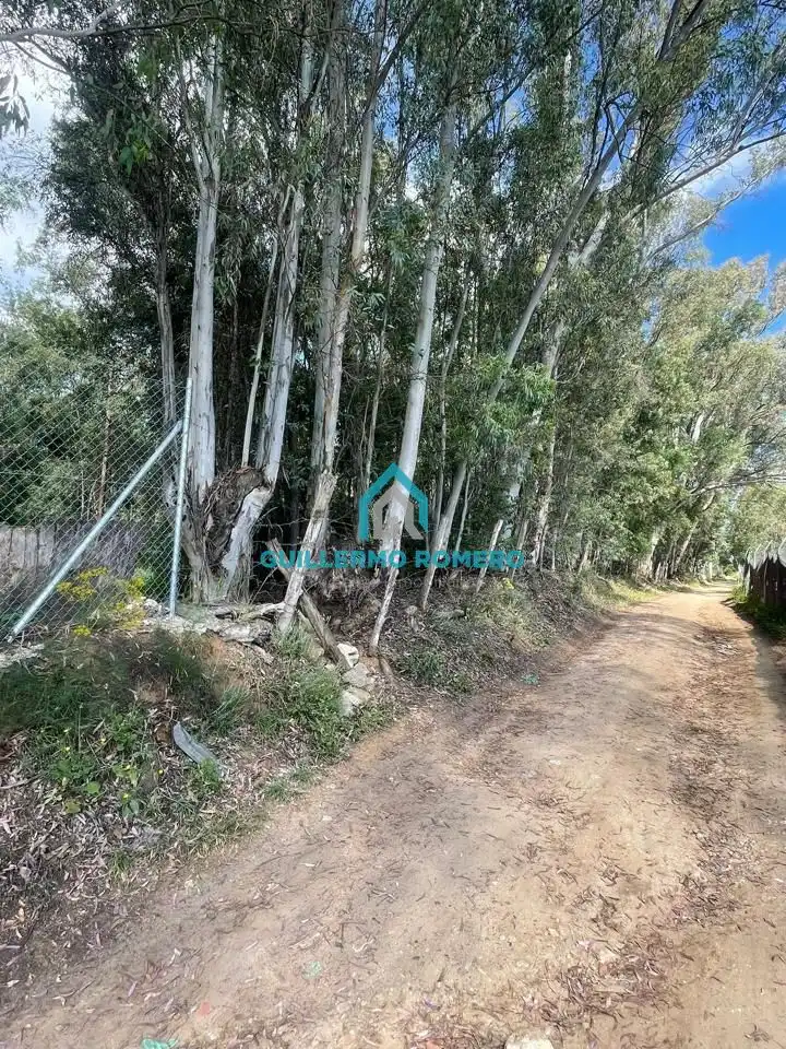 Terreni e lotti in vendita a La Puebla del Río, imagen 4