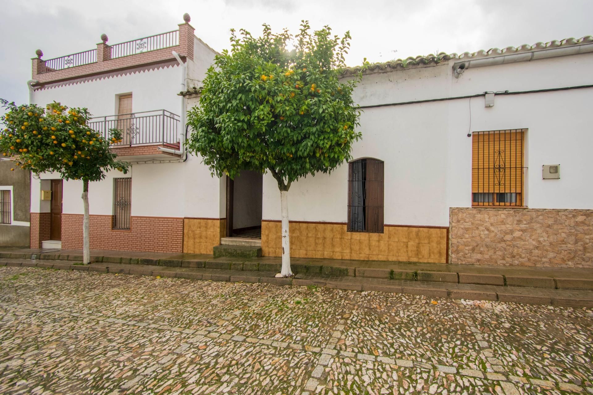 Exterior view of House or chalet for sale in Almadén de la Plata
