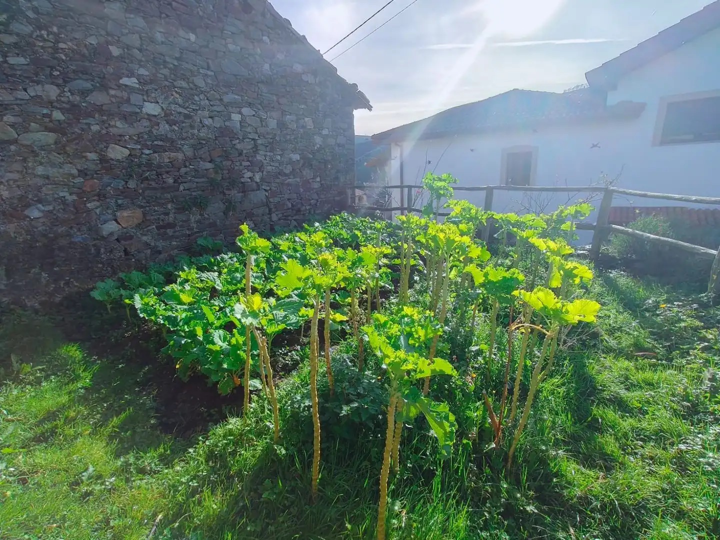 Jardín de Casa o chalet en venta en Valdés - Luarca con Terraza, Trastero y Piscina