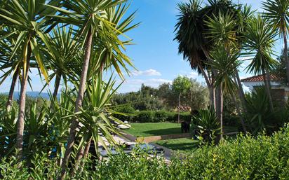 Garden of Country house for sale in Alborache  with Air Conditioner, Private garden and Terrace