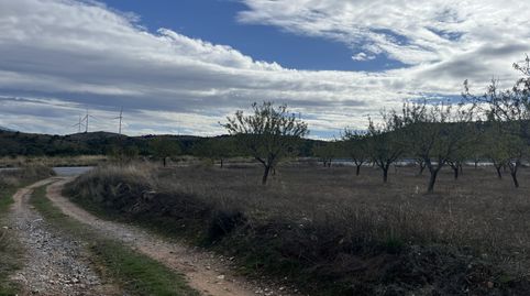 Finca de almendros en Padul - Granada, imagen 5
