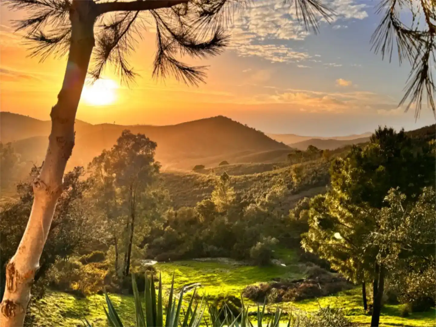 Vista exterior de Finca rústica en venta en El Madroño con Aire acondicionado, Jardín privado y Parquet