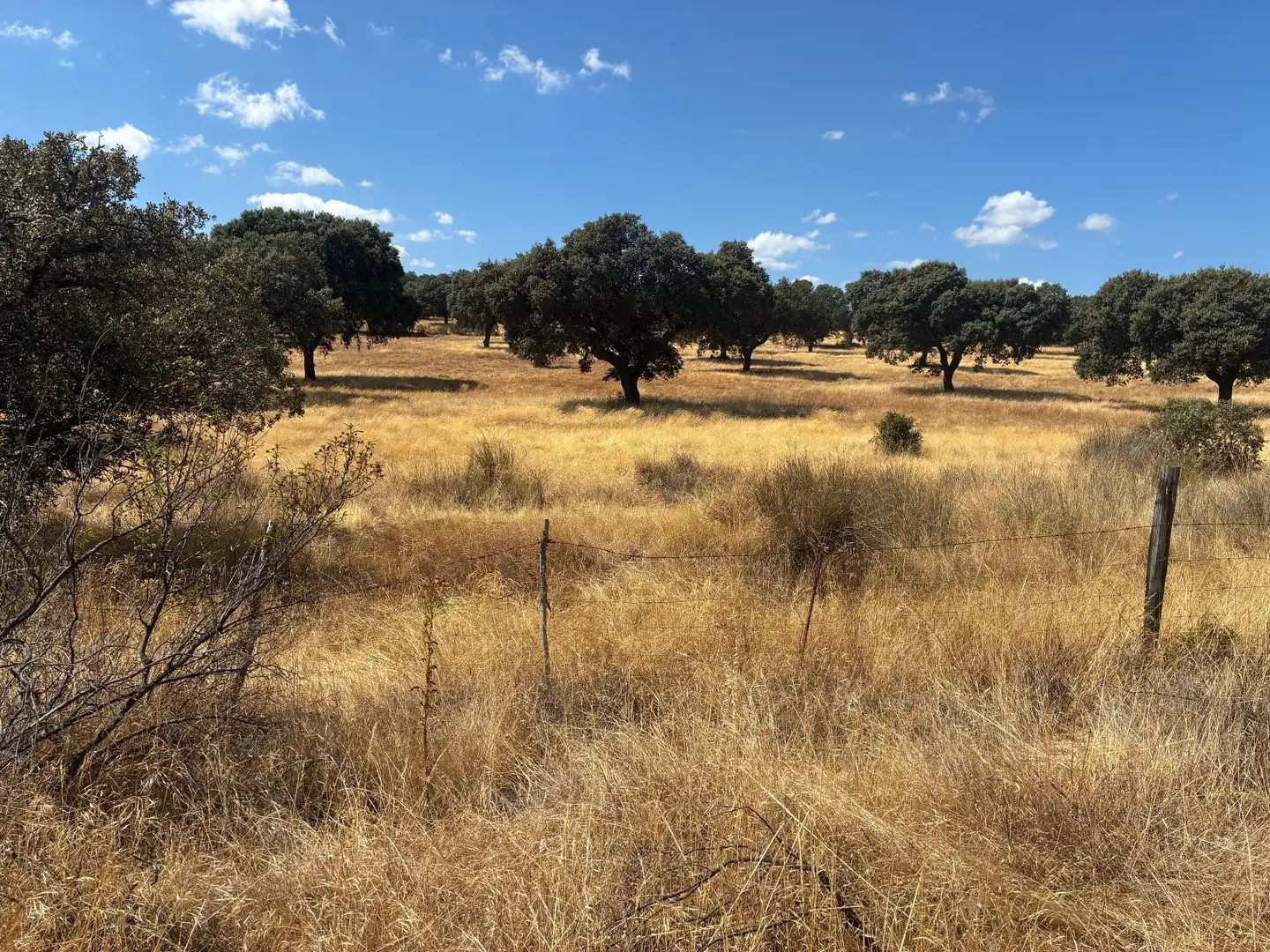Terreno rustico in vendita a Mohedas de la Jara, imagen 17