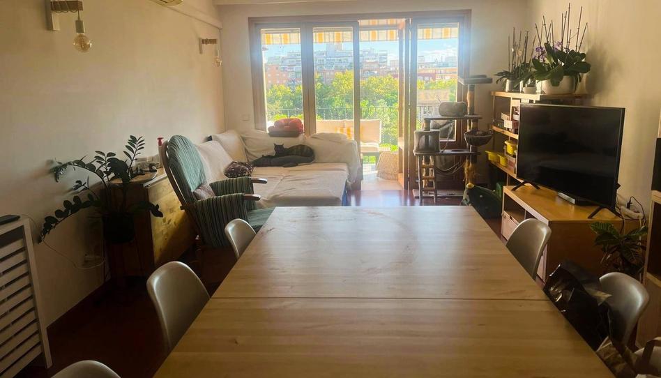 Foto 1 de Apartament de lloguer a Es Camp Redó, Illes Balears