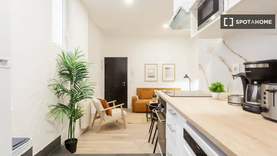 Appartement à louer à Centro, imagen 16
