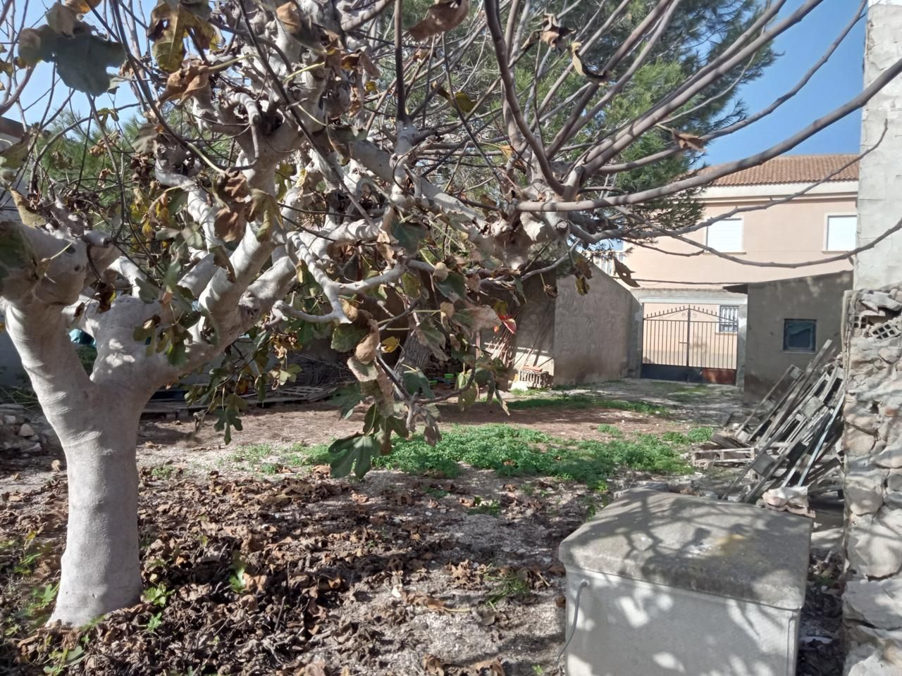 Finca rústica en venda a Barrio las Barracas, Benejúzar