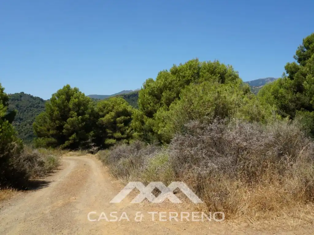 Casa amb jardí en venda a Yunquera, imagen 16