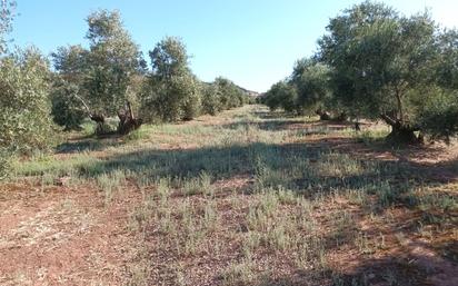 Land for sale in Vilches