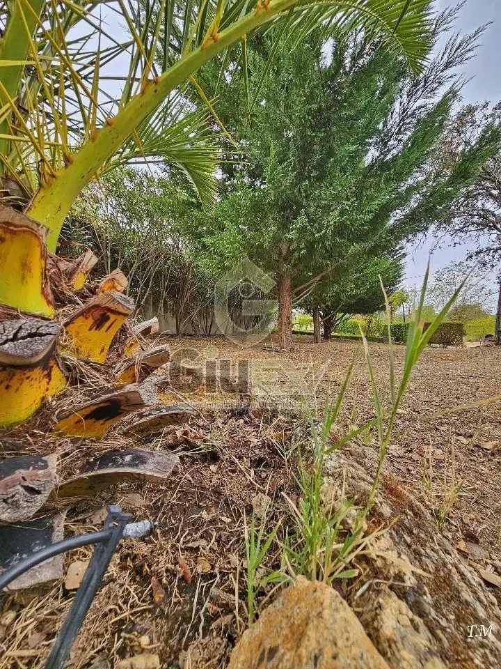 House with garden for sale in Arroyo de la Luz, imagen 49