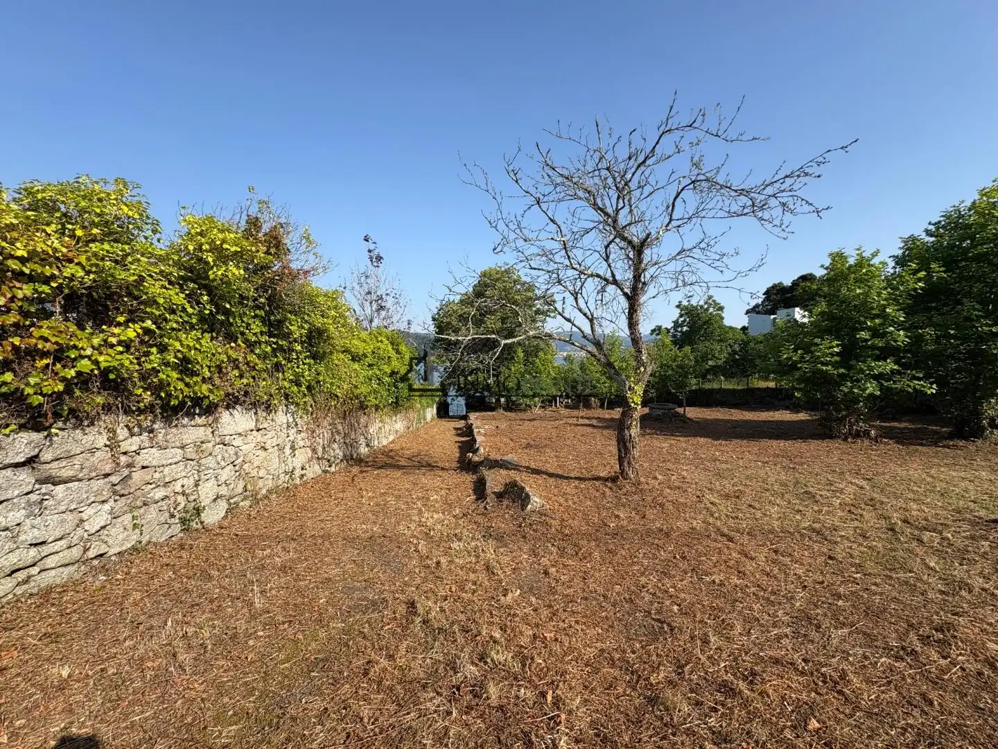 Residencial en venta en Samieira