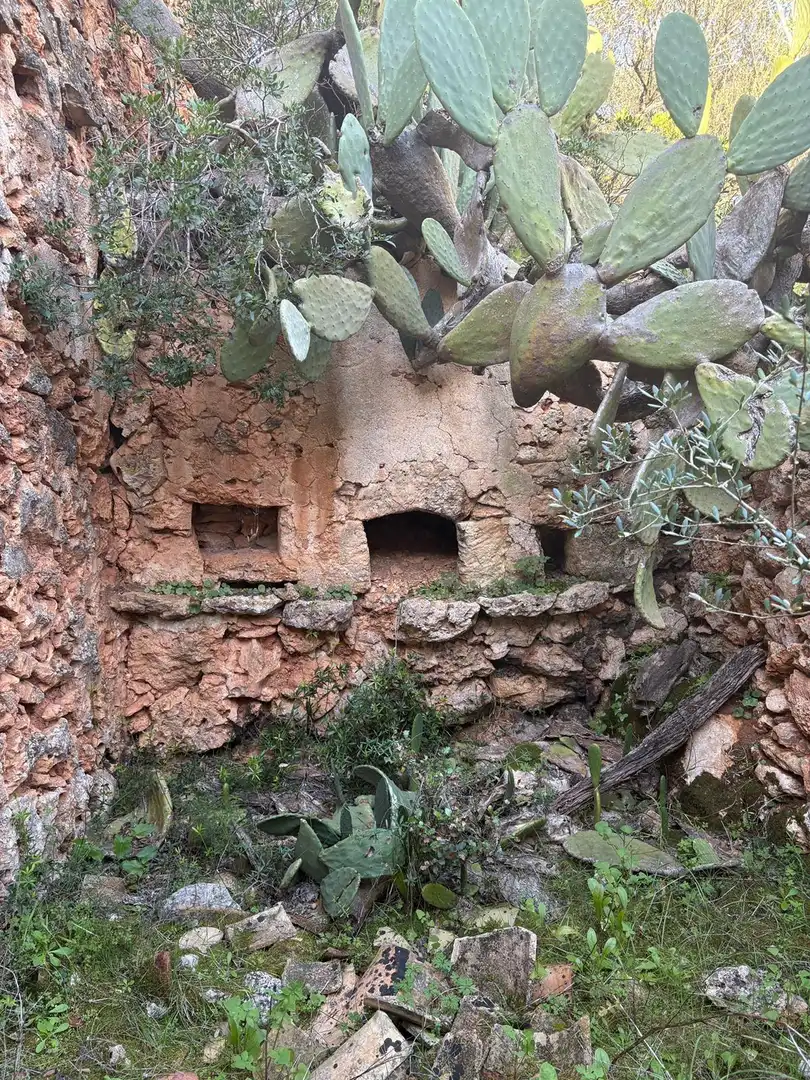 Grundstücke und Bauplätze zum Verkauf in Costitx, imagen 3