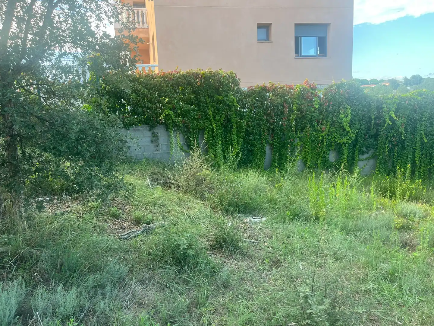 Residential land for sale in Sils, imagen 7