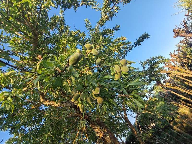 Finca rústica en venda a Doñinos de Salamanca