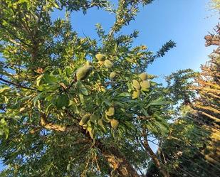 Finca rústica en venda a Doñinos de Salamanca