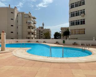 Swimming pool of Flat to rent in Elche / Elx  with Air Conditioner, Terrace and Balcony