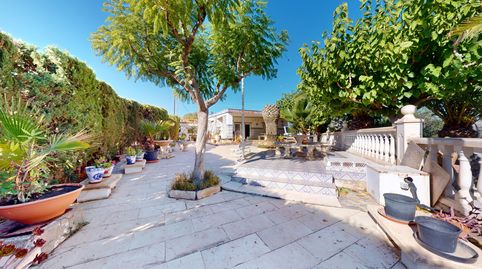 Foto 5 de Casa o chalet en venta en Novelda - Pd Horna Baja, Novelda, Alicante