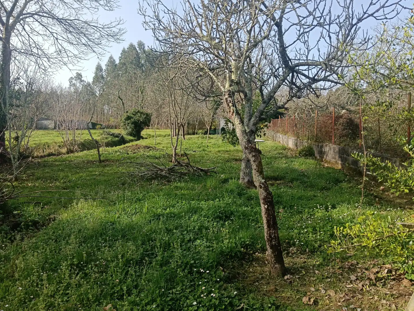 Casa adosada en venda en Oza dos Ríos amb Calefacció, Jardí privat i Traster