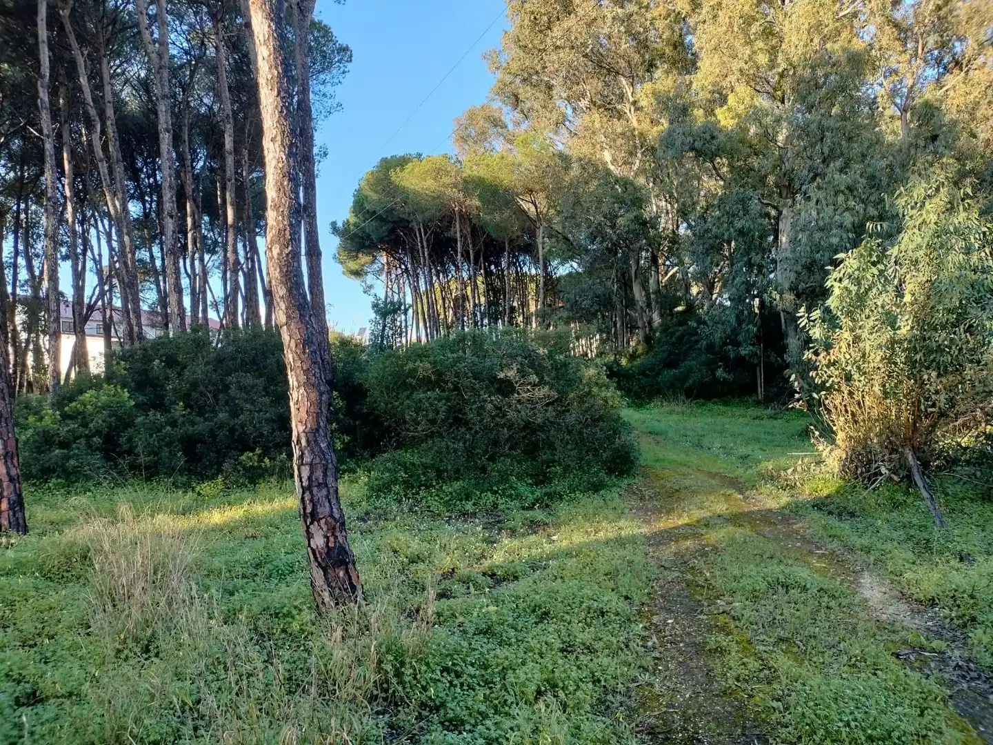 Terreno residencial en venta en Pelagatos - Pago del Humo, imagen 16