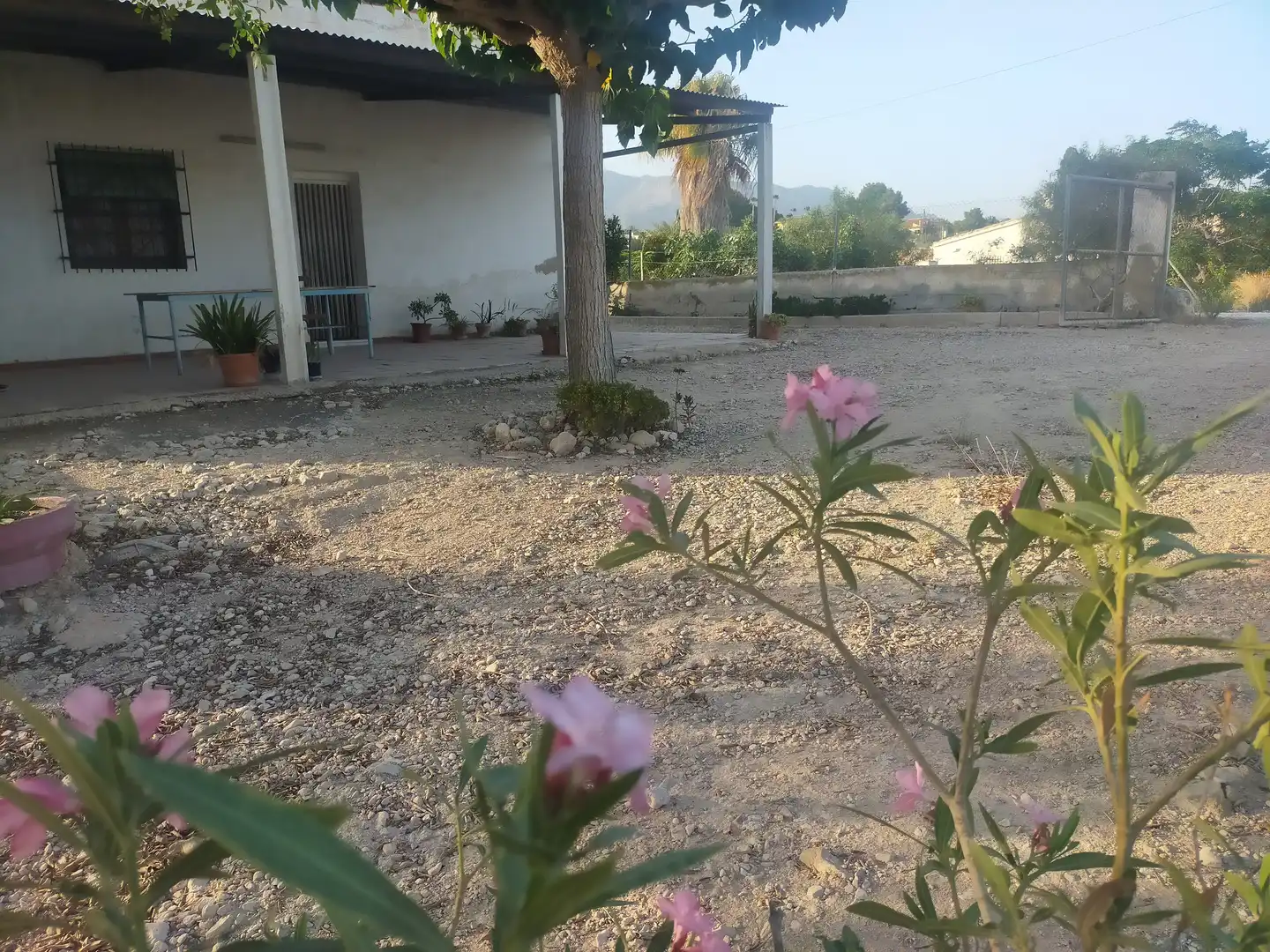 Casa o chalet en venta en Albatera con Amueblado