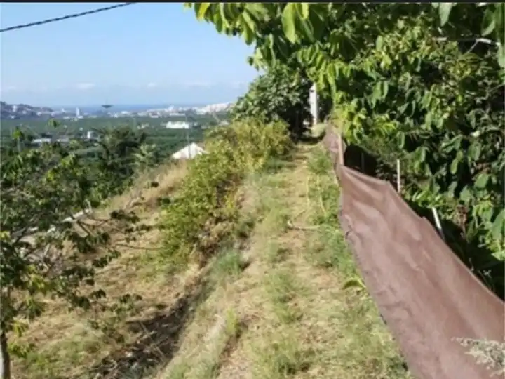 Casa con piscina en venta en Camino vega primero 105, imagen 19