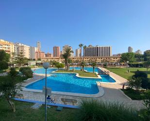 Piscina de Apartament en venda en Benidorm amb Jardí privat, Terrassa i Piscina comunitària