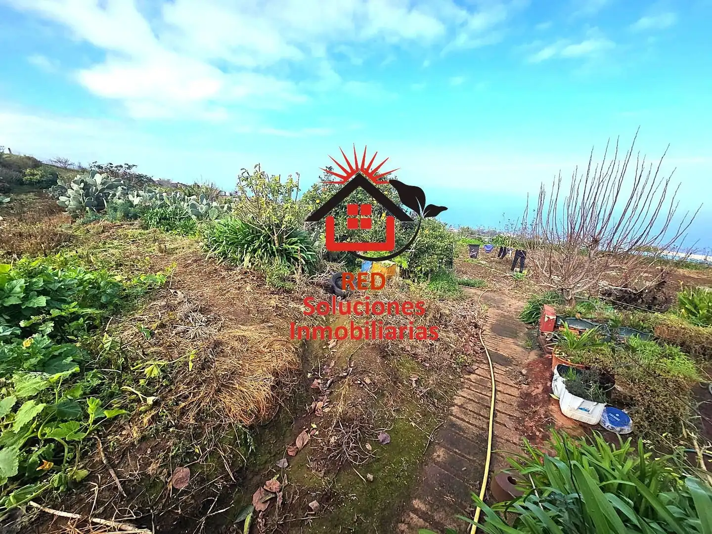 House with garden for sale in LOMO BERMEJO, imagen 27