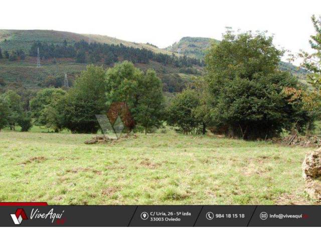 Terreno en Venta en Piloña