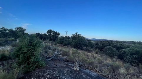 TERRENO RUSTICA CON ENCINAS EN ALDEA DEL CANO, immagine 4