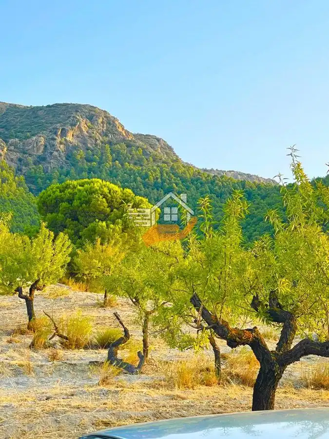 Country house for sale in Vélez-Rubio, imagen 4
