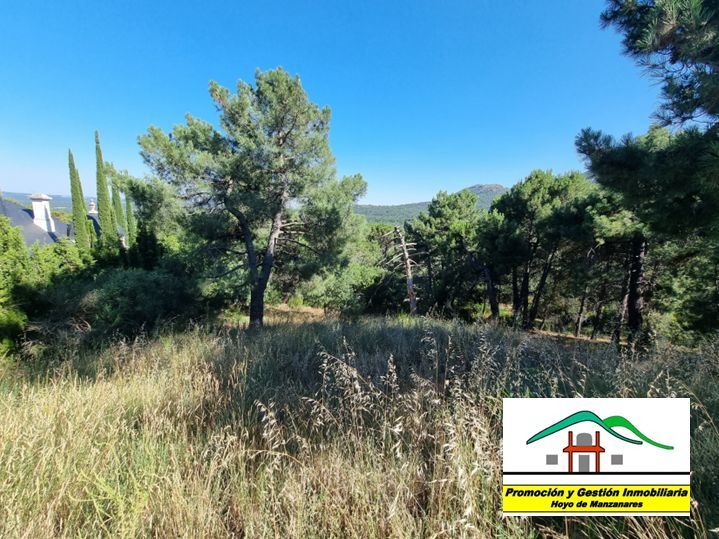 Land for sale in Colmenar Viejo