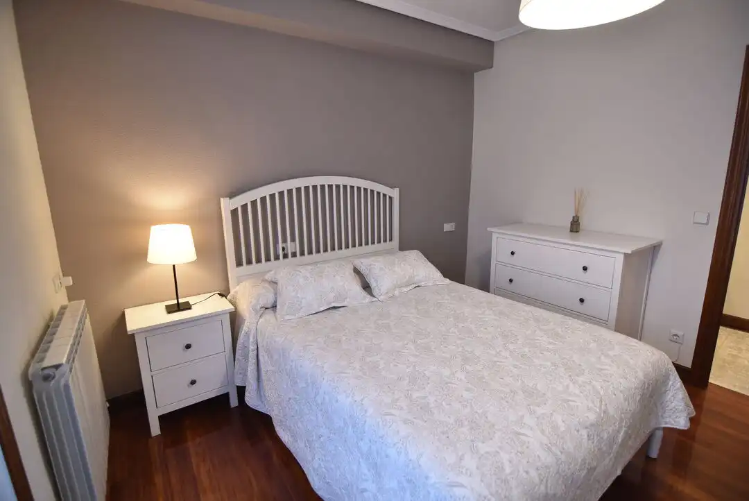 Wohnung mit Terrasse zum Verkauf in Estaziño Kalea, imagen 19