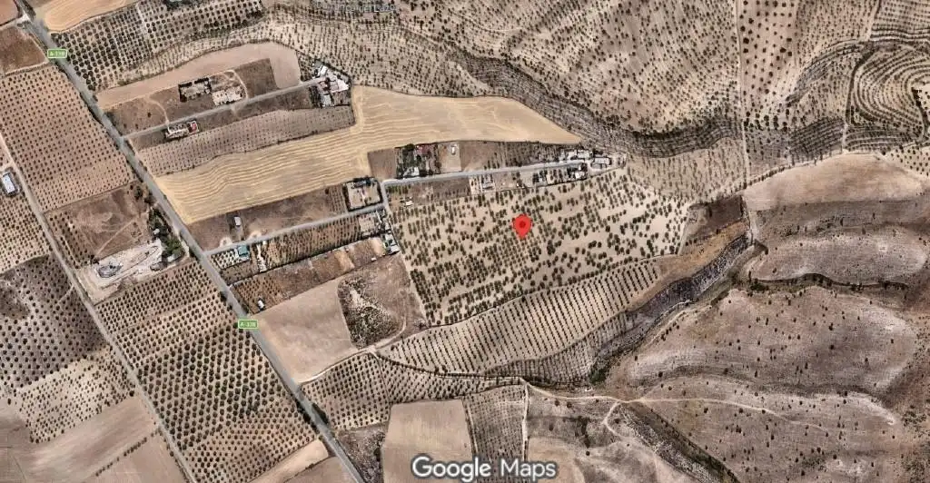 Rustikales Grundstück zum Verkauf in Polígono Poligono 5, parcela 187, imagen 2
