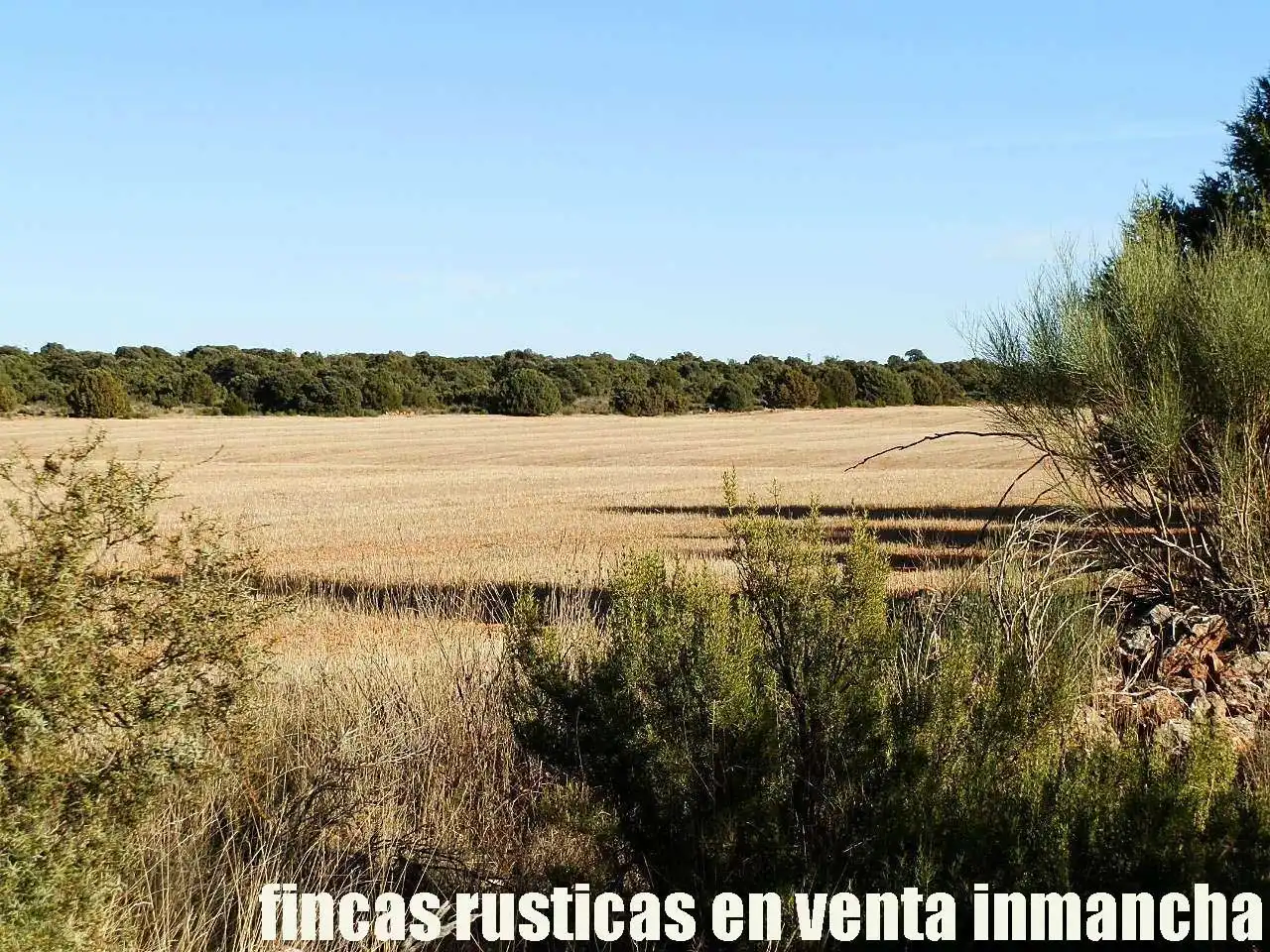 Lands and plots for sale in Ossa de Montiel, imagen 9